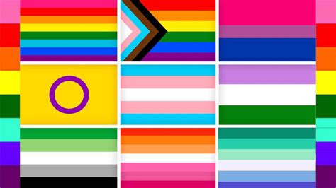 banderas de orientación sexual|Significado y colores de todas las banderas LGBT+